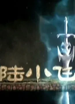 陆小飞传奇综艺海报