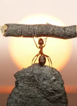 环球奇趣综艺海报
