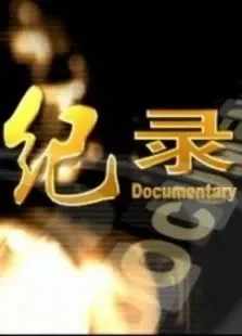 纪录综艺海报