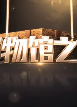 博物馆之夜综艺海报