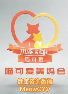 喵可爱母婴瑜伽综艺海报