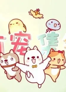 有宠集锦综艺海报