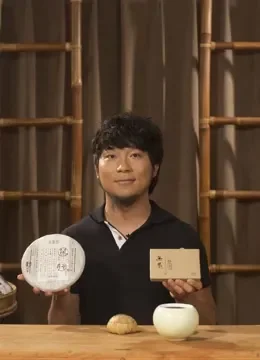 普洱黑话综艺海报