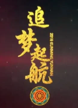庆祝云南省民族企业发展促进会成立文艺晚会综艺海报