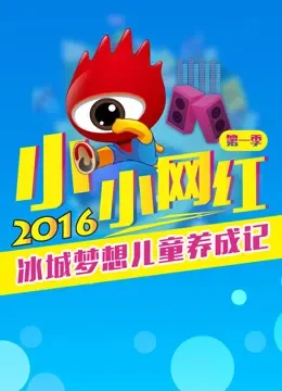 小小网红综艺海报