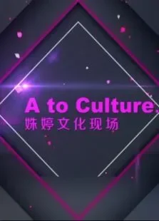 姝婷文化现场第1季综艺海报