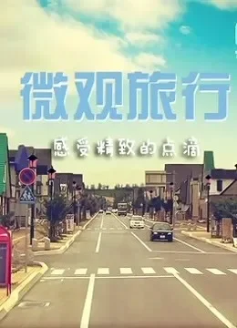 微观旅行综艺海报