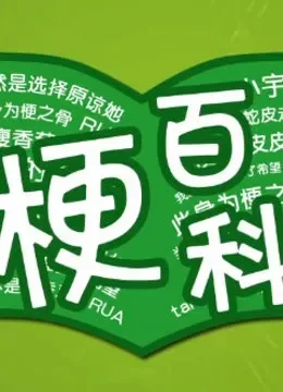 梗百科综艺海报