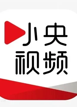 小央视频国际综艺海报