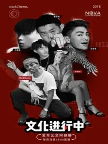 文化进行中第1季综艺海报