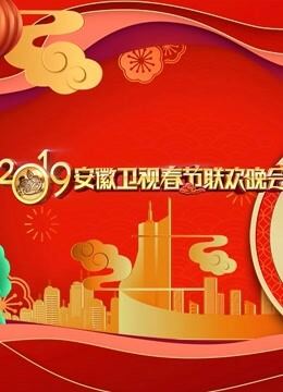 2019安徽卫视春晚