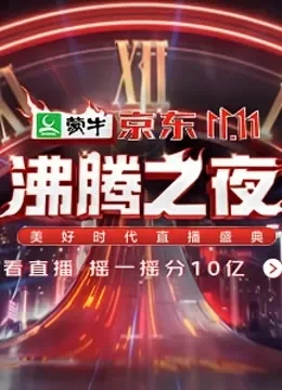 京东11.11沸腾之夜美好时代直播盛典综艺海报