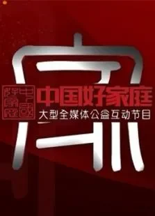 中国好家庭综艺海报