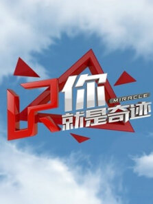 你就是奇迹第2季