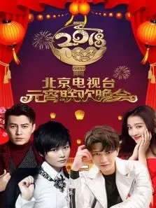 北京电视台元宵联欢晚会2018综艺海报