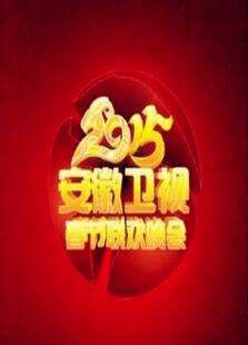 安徽卫视春节联欢晚会