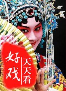 好戏天天看2013
