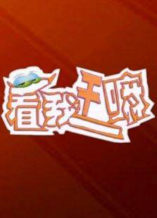 看我干嘛第1季