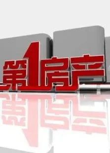 第一房产综艺海报