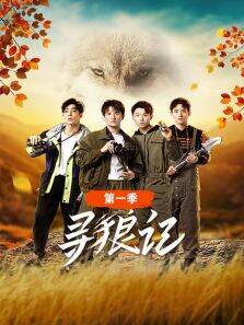 寻狼记第1季