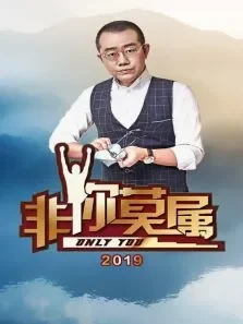 非你莫属2019综艺海报