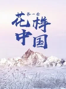 花样中国第1季综艺海报